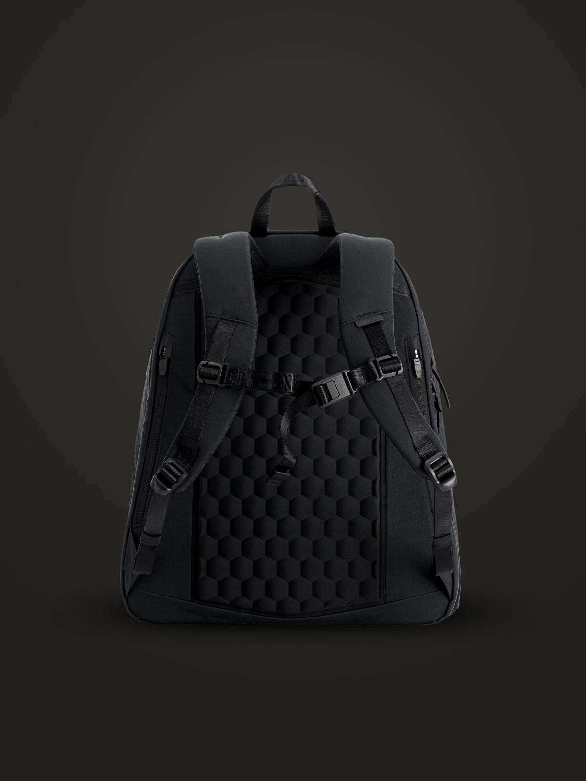 CLASSIC / 23L  Daypack Crinkle Nylon