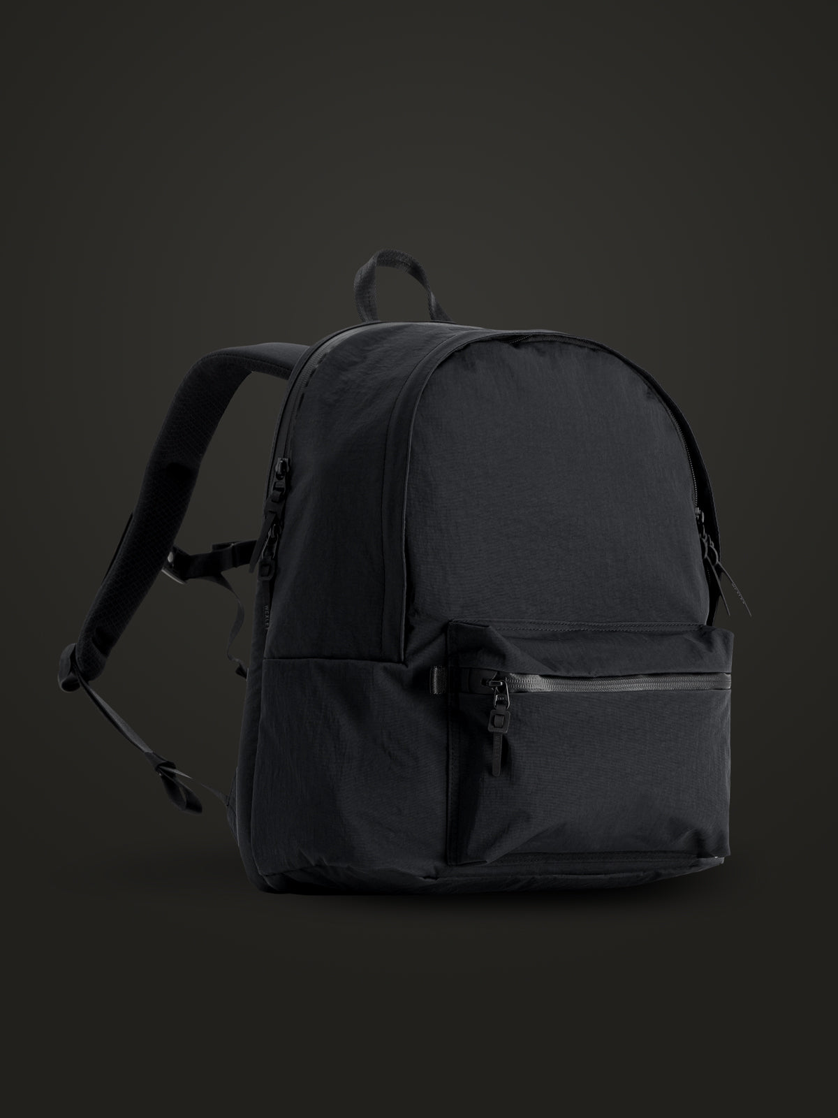 CLASSIC / 23L  Daypack Crinkle Nylon